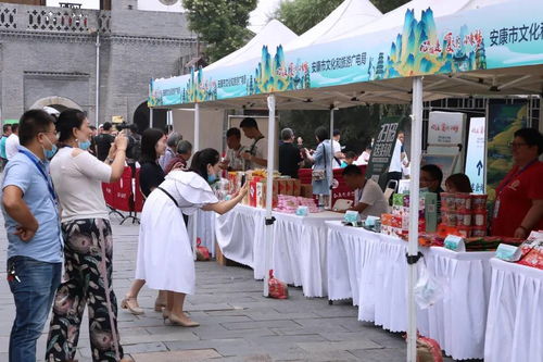 文旅協作謀發展 西安文旅對口幫扶陜南三市